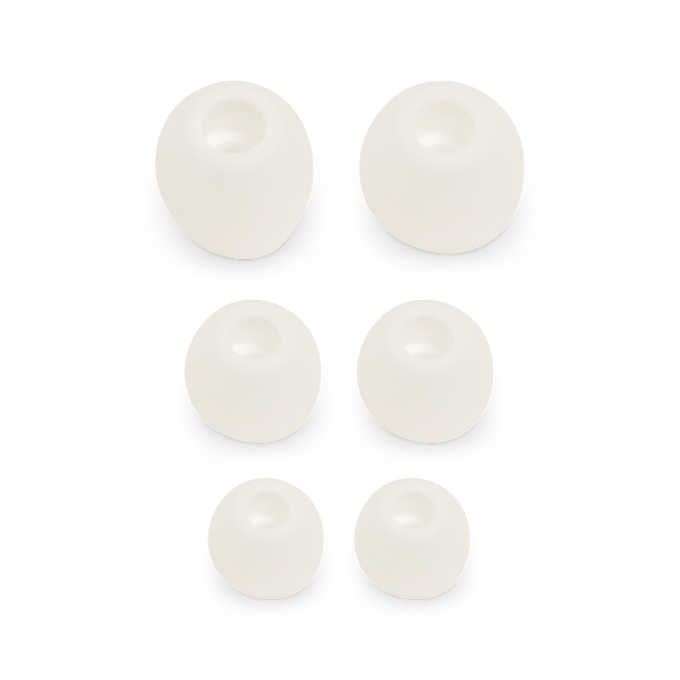 JBL Ear tip set for V110BT - Silver - Ear tips S+M+L (L+R) - Hero image number null